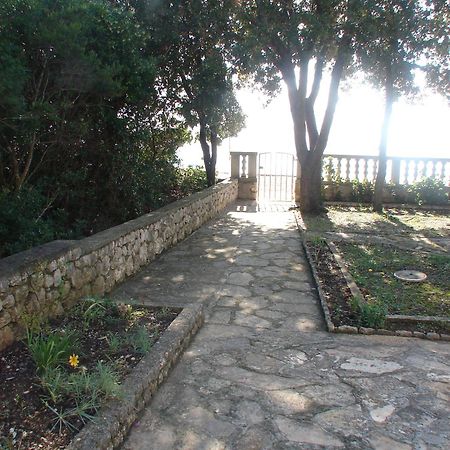 Villa Luna With Seaview Petrcane Bagian luar foto
